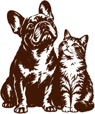 Hund und Katze nebeneinander – reduzierte Bio-Tiernahrung