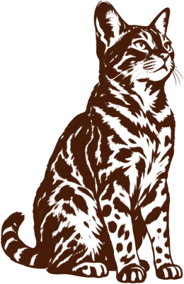 Sitzende Bengalkatze – Bio-Testpakete für Katzen
